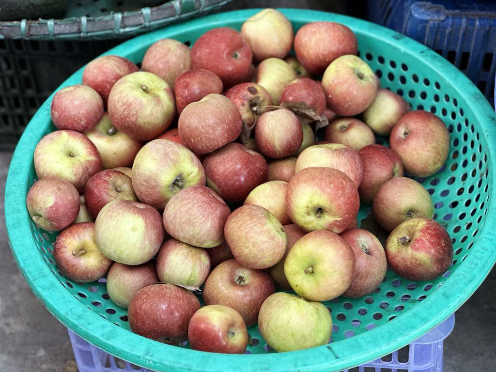 Các chuyên gia khuyên bạn ăn cả vỏ táo-3123-1