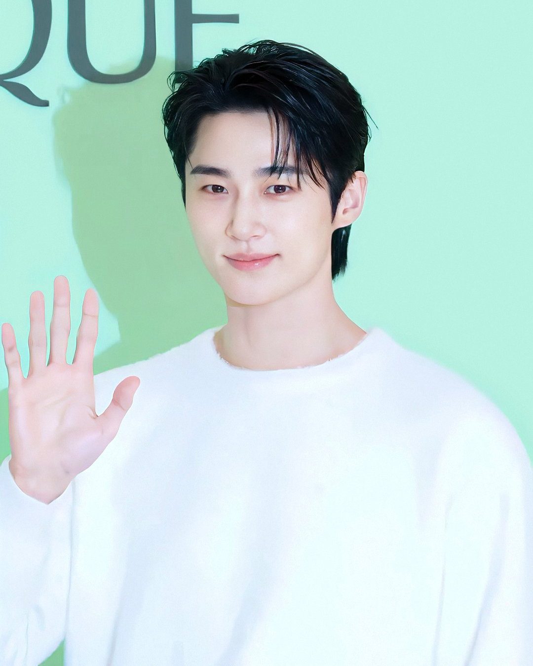 Diễn viên Byeon Woo Seok kiện-4737-1