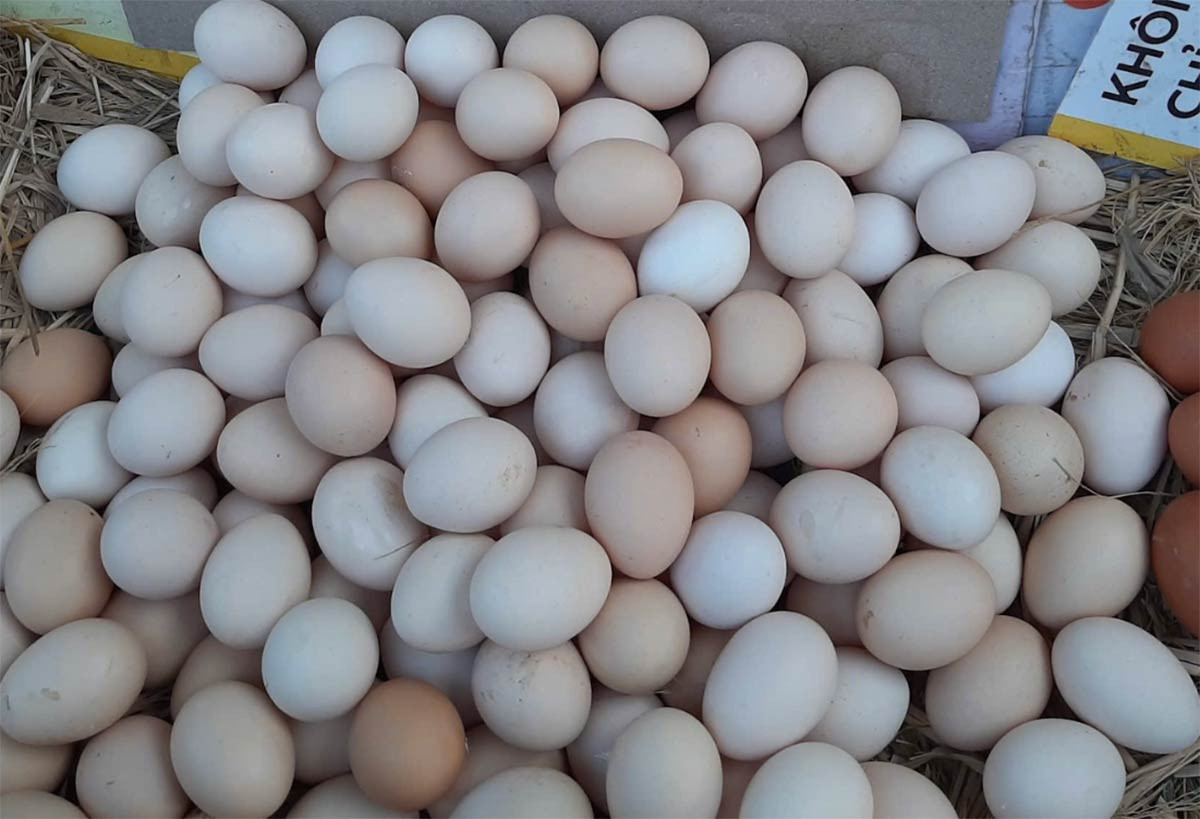 Giá cả ngày cận Tết-2545-1