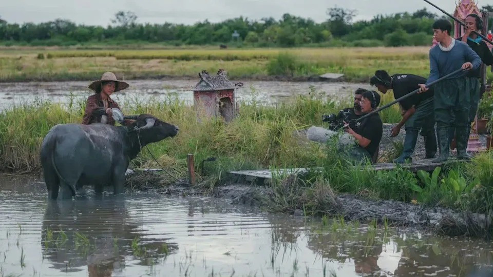 Phạm Băng Băng thắng giải Nữ chính xuất sắc nhất-2351-1