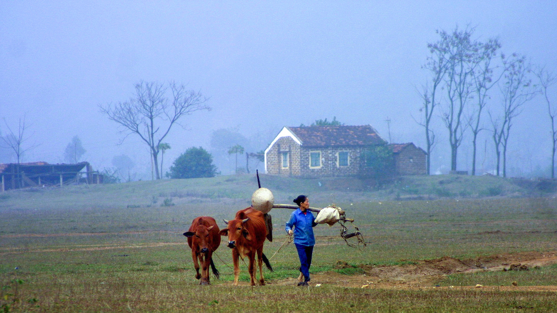 Nguyên quán chính là nơi để ta tìm về, neo lại.-2774-1