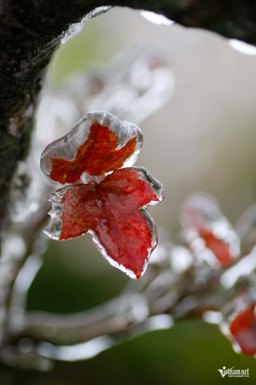 Dự báo thời tiết miền Bắc lại chìm trong mưa rét-2504-1