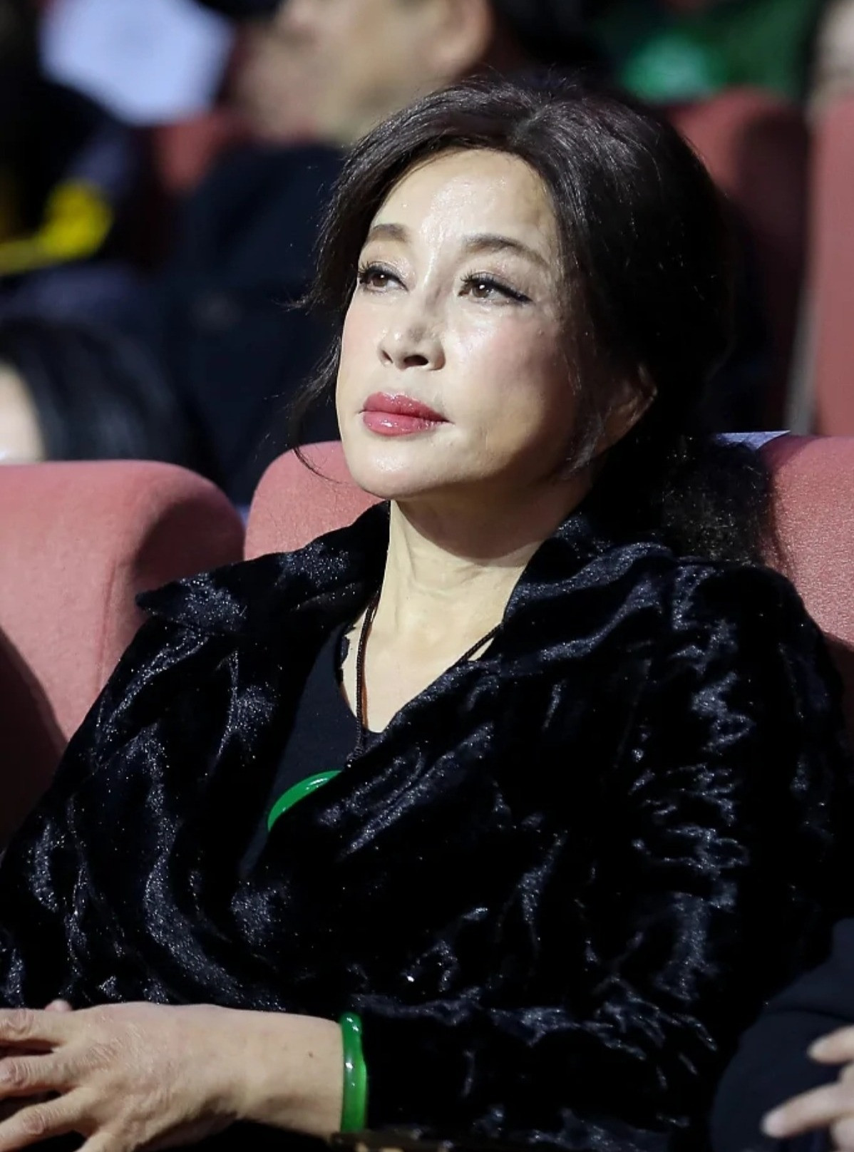 Căn biệt thự của Lưu Hiểu Khánh bị tố-2910-1