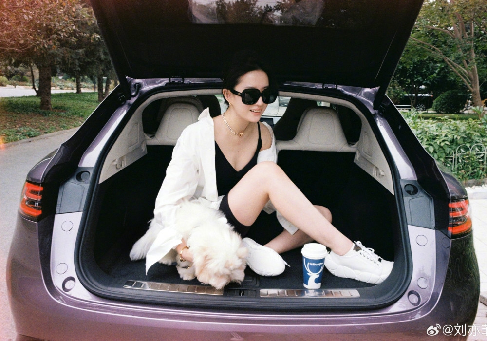 Người đẹp Lưu Diệc Phi thích làm bạn với chó mèo.-2891-1