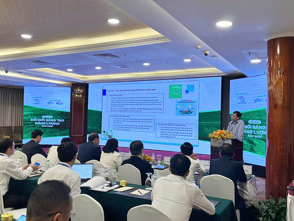 Diễn đàn Đổi mới sáng tạo năng lượng 2025: Thúc đẩy chuyển đổi xanh và phát triển bền vững-2137-1