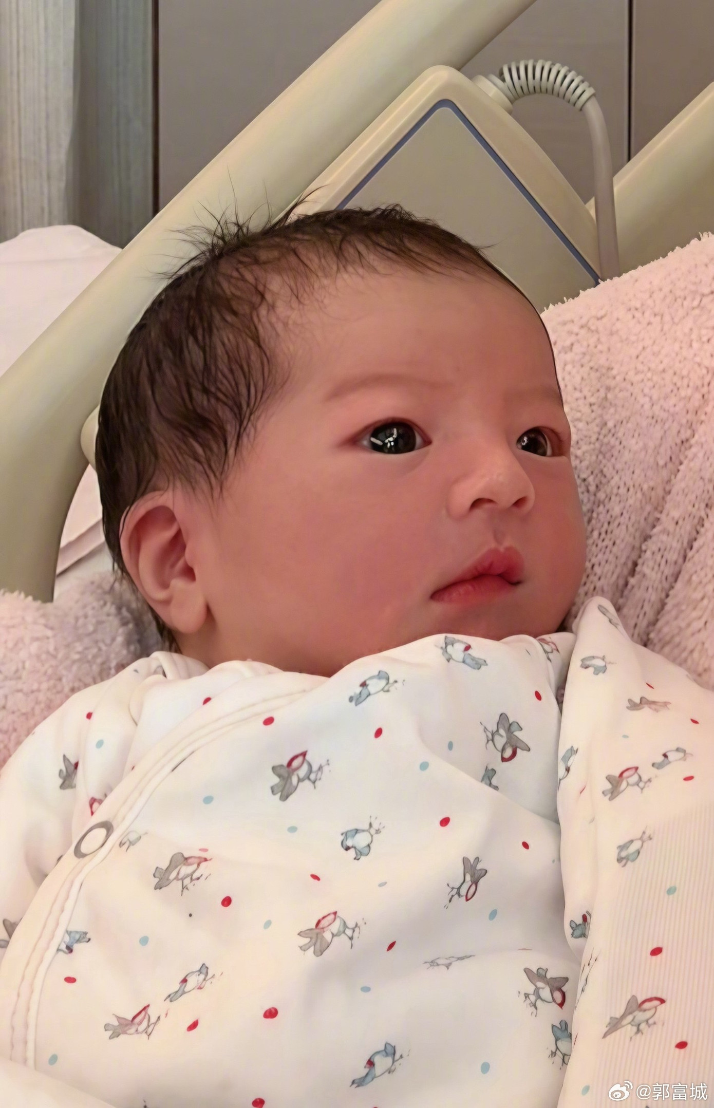 Quách Phú Thành tiếp tục đón công chúa thứ ba.-2242-1