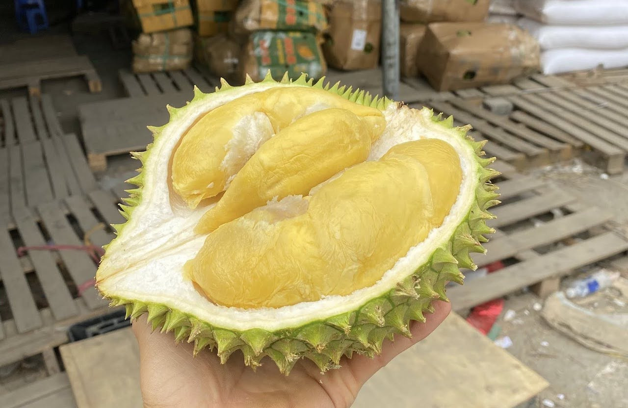 Sầu riêng được ví như loại quả 2 trong 1-3198-1