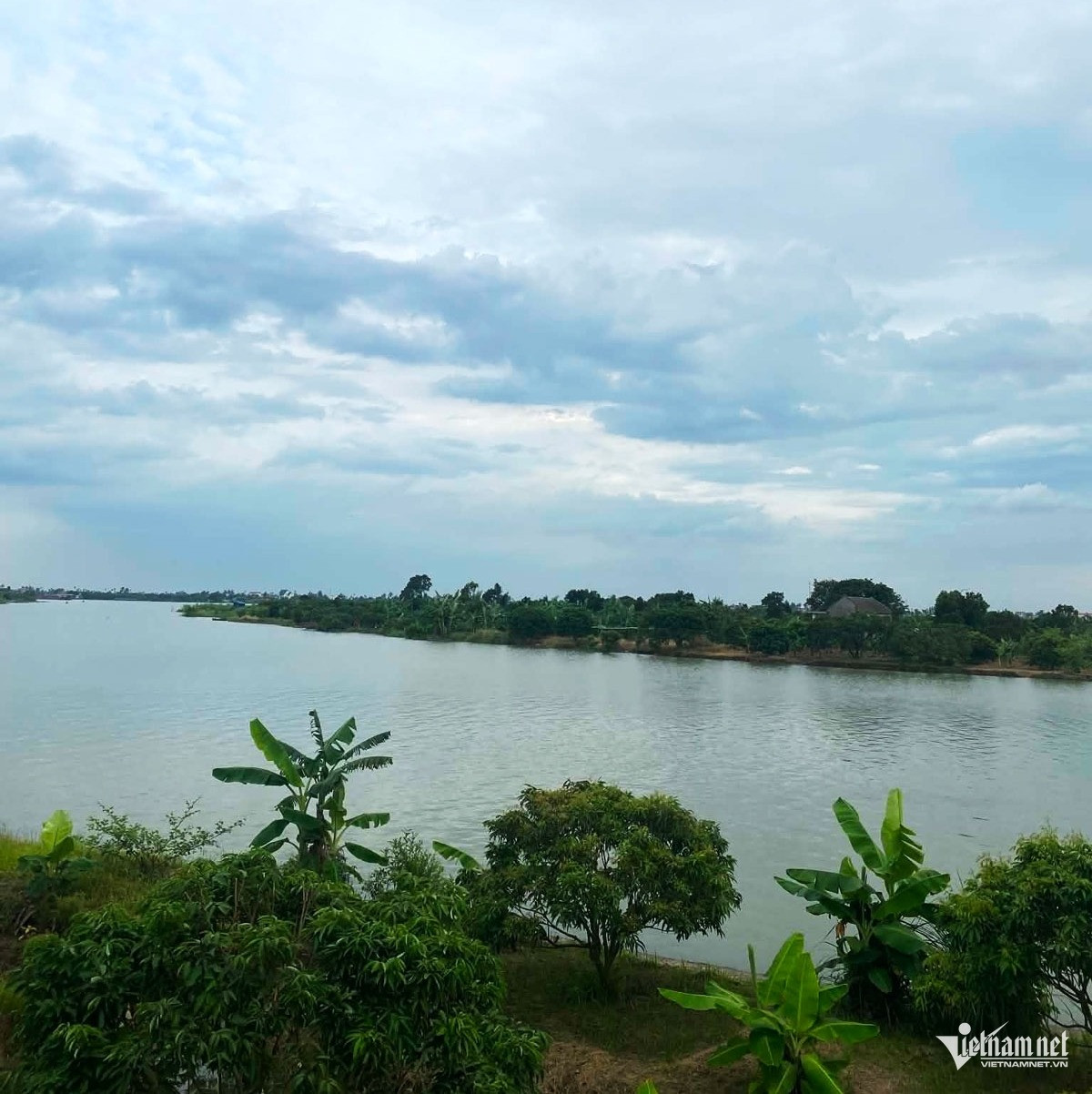 Tôi không dám tin chồng phản bội mình-4690-1