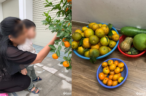 Con dâu 3 năm không về quê nghỉ lễ, bất ngờ được bố mẹ chồng U80 lặn lội đi 200km lên thăm