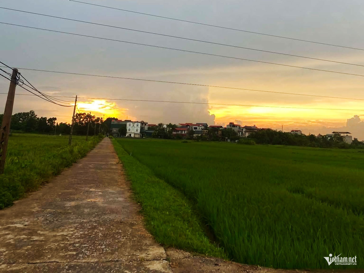 Con ở quê được tận hưởng cuộc sống đồng ruộng cùng ông bà