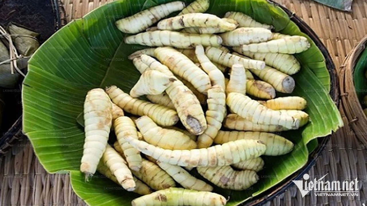 Củ dong giúp cho hệ tiêu hóa nhưng người mắc bệnh tiểu đường nên thận trọng