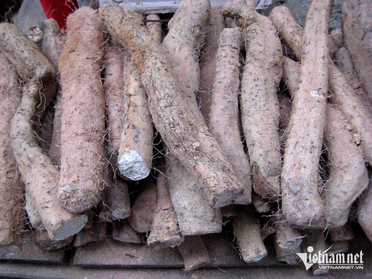 Củ mài hỗ trợ tiêu hóa