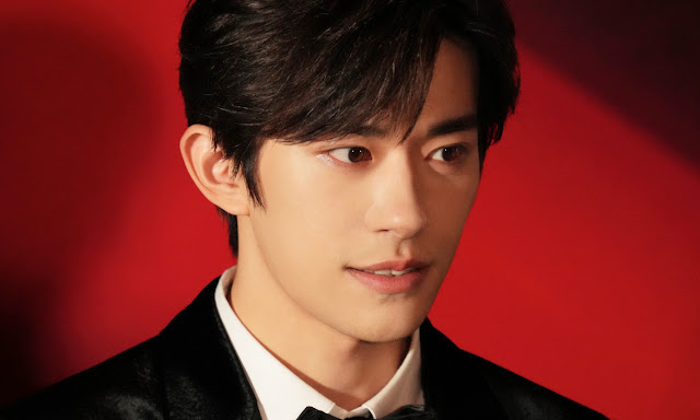 Dịch Dương Thiên Tỉ ra mắt phim điện ảnh nào cũng đạt doanh thu