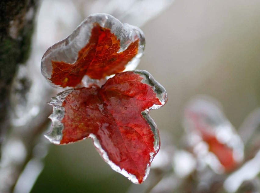 Dự báo thời tiết miền Bắc lại chìm trong mưa rét