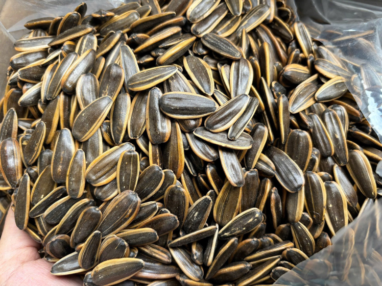 Hạt hướng dương loại thực phẩm ăn vặt nhưng có thể gay hại cho sức khỏe