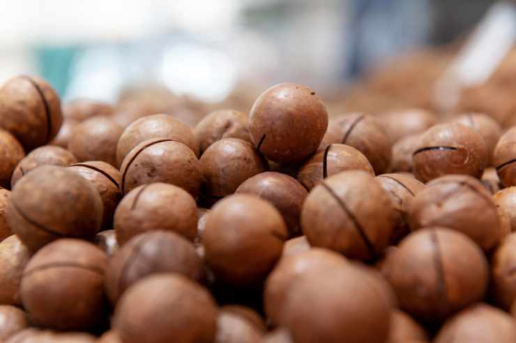 Hạt mắc ca có nhiều công dụng tốt.