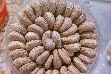 Hạt điều có thật sự tốt cho sức khỏe?