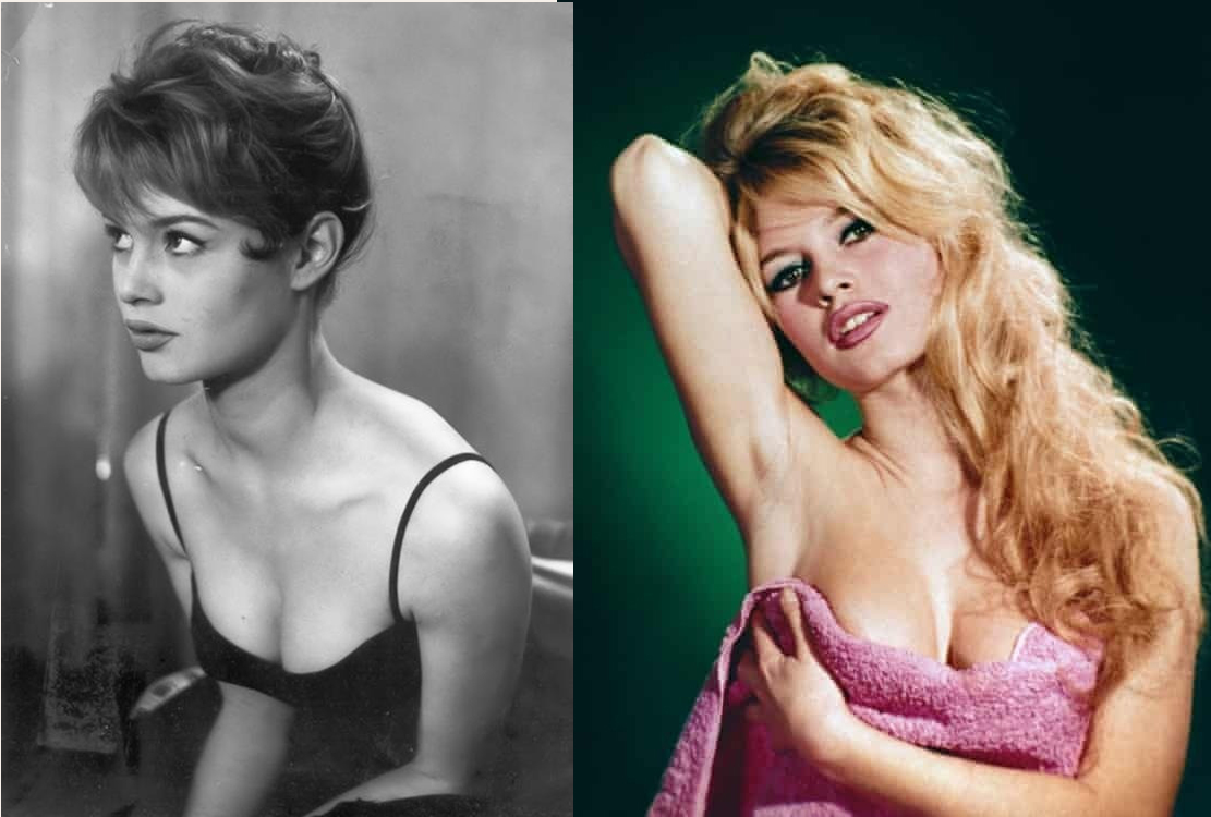 Nhan sắc biểu tượng gợi cảm nước Pháp qua đời,