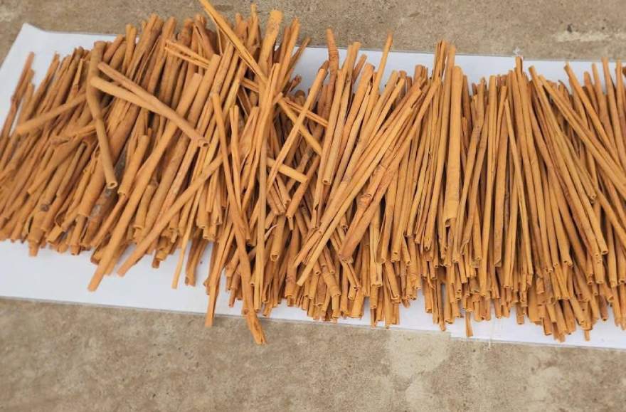 Quế có nhiều công dụng tốt cho tim mạch