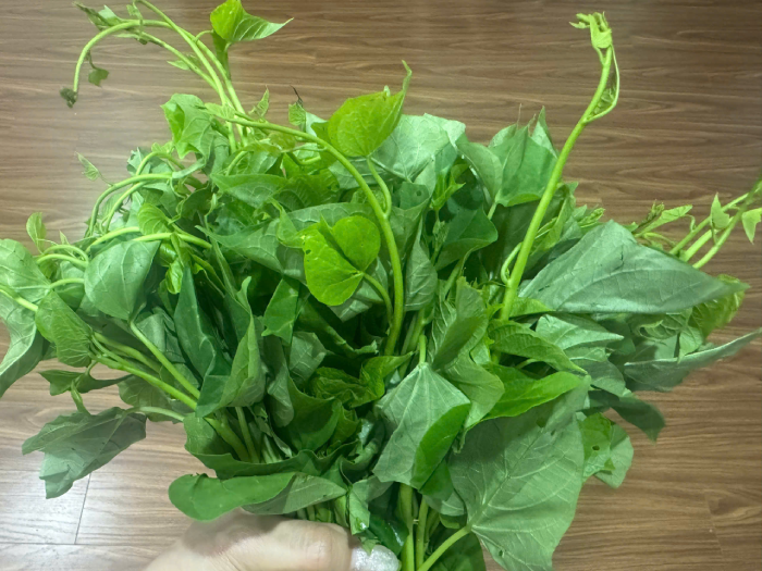 Rau lang tốt cho sức khỏe.