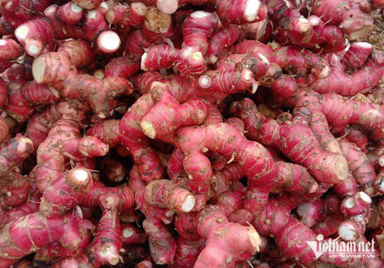 Riềng được cho vào nhiều món ăn để tạo hương vị thơm ngon.