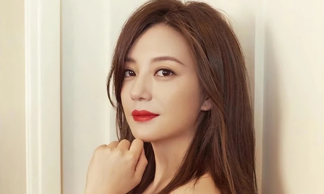 Triệu Vy bị đóng băng 3 công ty trong 3 năm.
