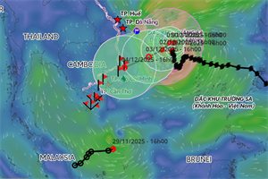 Áp thấp nhiệt đới đã tan trên khu vực Nam Biển Đông