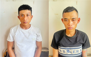 Bắt giữ 2 đối tượng thực hiện vụ cướp giật