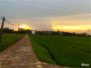Con ở quê được tận hưởng cuộc sống đồng ruộng cùng ông bà