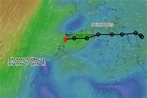 Dự báo quỹ đạo và cường độ áp thấp nhiệt đới