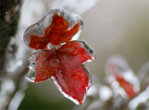 Dự báo thời tiết miền Bắc lại chìm trong mưa rét