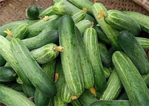 Dưa chuột là loại trái cây quét mỡ máu.
