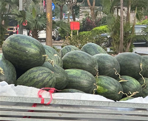 Dưa hấu chứa đường tự nhiên giúp tăng đường huyết.