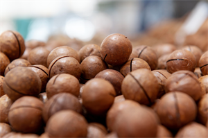 Hạt mắc ca có nhiều công dụng tốt.