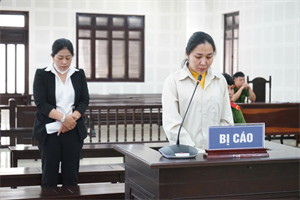 Lừa chuyển hơn 120 tỷ đồng góp vốn