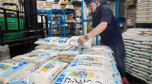 Lượng gạo nhập khẩu tư nhân vào Nhật Bản tăng gấp 104 lần