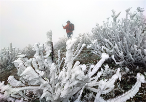Miền Bắc có nơi dưới 3 độ, khả năng xuất hiện băng giá