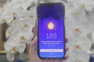 Người dùng cần học 3 bài liên tiếp để lấy lại streak đã mất