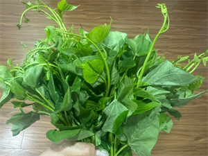 Rau lang tốt cho sức khỏe.