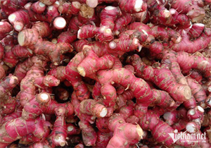 Riềng được cho vào nhiều món ăn để tạo hương vị thơm ngon.