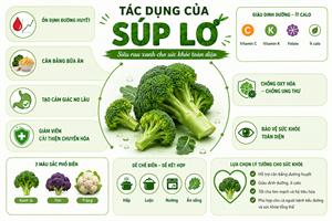 Súp lơ được đánh giá là thực phẩm có nhiều giá trị dinh dưỡng.