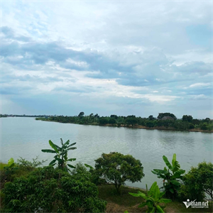 Tôi không dám tin chồng phản bội mình