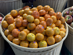 Trái cây họ cam quýt phong phú, có nhiều giá trị dinh dưỡng