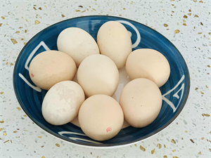 Trứng là một trong những thực phẩm chứa nhiều vitamin D.