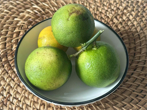 Vỏ chanh bổ sung các chất dinh dưỡng cho cơ thể.