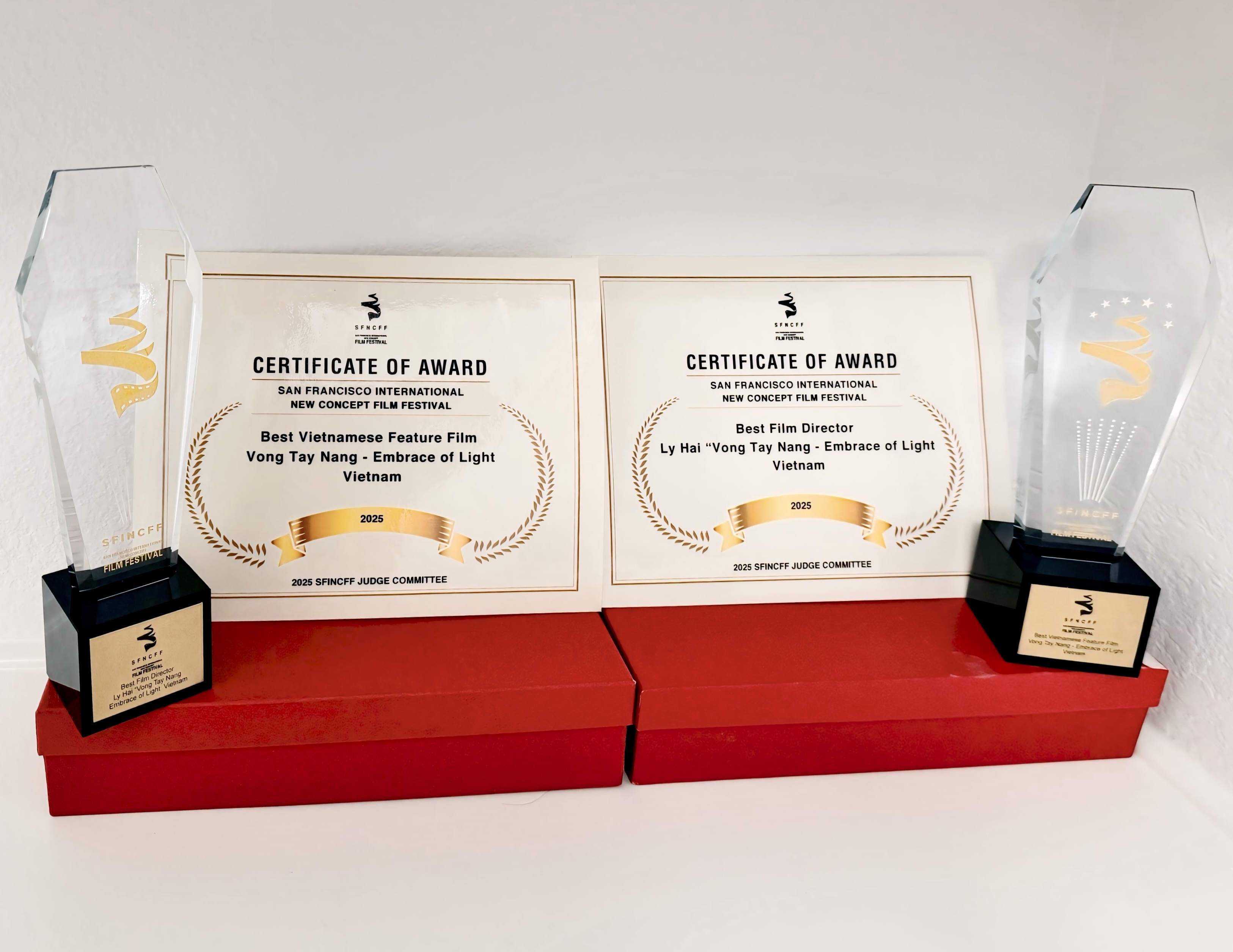 Lật mặt 8: Vòng tay nắng giành hai giải thưởng điện ảnh quốc tế-1