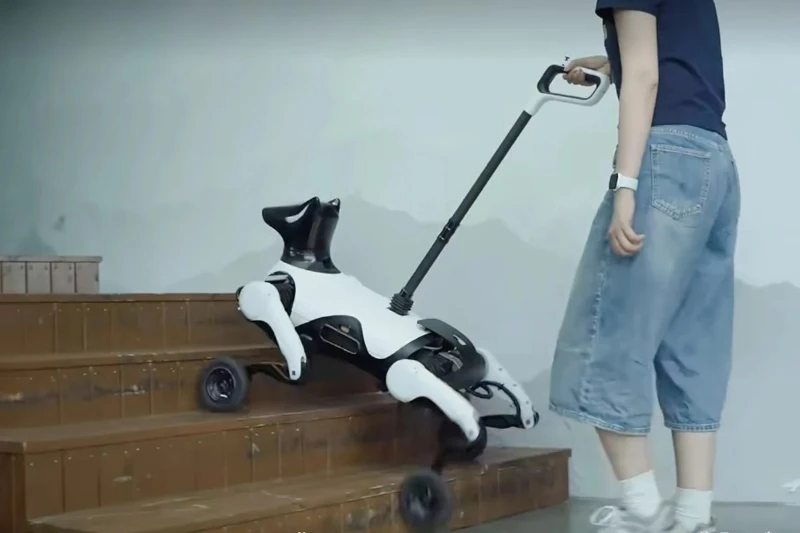 Robot chó dẫn đường của Viện Nghiên cứu Zhiyuan. Ảnh: Handout