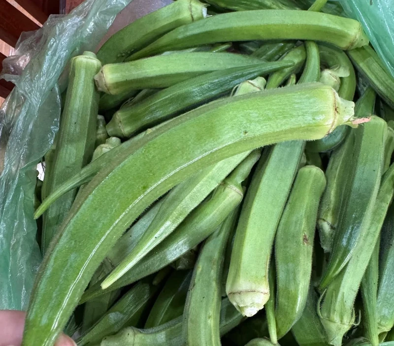 Đậu bắp có nhiều giá trị dinh dưỡng.