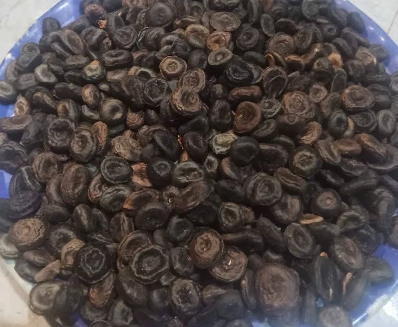 Hạt mã tiền cực độc nằm trong danh mục cấm trồng