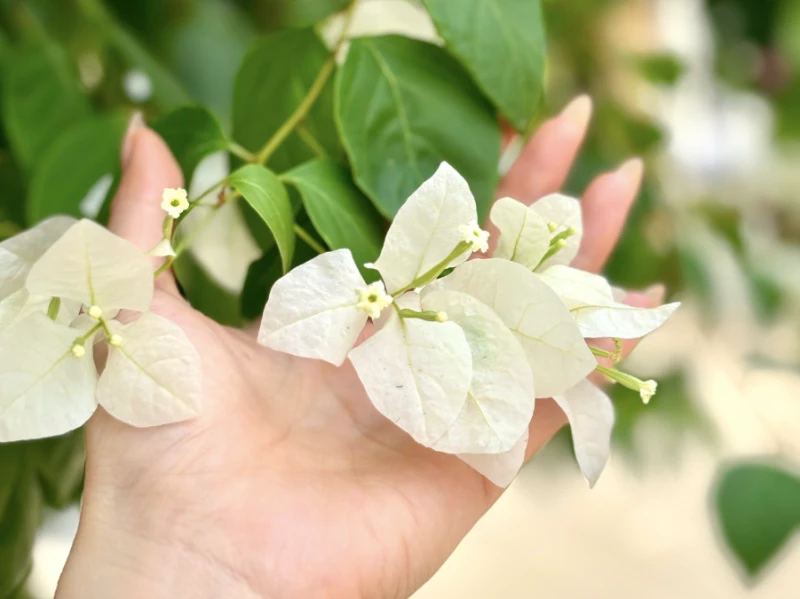 Mặc dù còn yêu và thương chồng nhưng tôi lại căng thẳng mỗi lần vợ chồng gần gũi